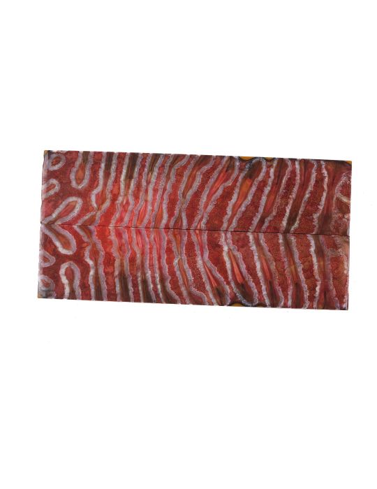 Manche de molaire de mammouth stabilisée ROUGE